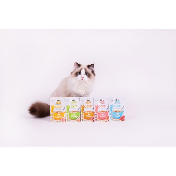 Корм вологий Brit Care Soup Turkey д/котів суп з індичкою 75 г 1111182591 фото