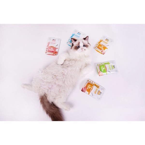 Корм вологий Brit Care Soup Turkey д/котів суп з індичкою 75 г 1111182591 фото