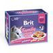 Корм вологий Brit Premium Cat Family Plate Jelly pouches набір паучів для котів сімейна тарілка в желе 12 шт. х 85 г 1111146995 фото 1