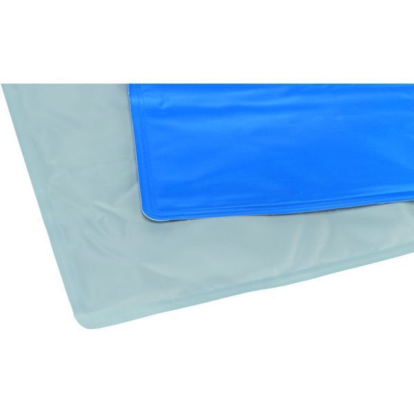 1111143192 фото
