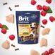 Ласощі Brit Premium Semi-moist Snacks Chicken with Raspberry напіввологі д/cобак з куркою і малиною 180 г 1111196075 фото 2