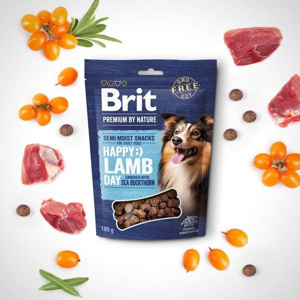 Ласощі Brit Premium Semi-moist Snacks Lamb with Sea Buckthorn напіввологі д/cобак з ягням і обліпихою 180 г 1111196078 фото