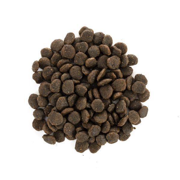 Корм сухий Brit Care Grain Free Mini Yorkshire для йоркширських тер&rsquo;єрів з лососем та тунцем 400 г 1111148822 фото
