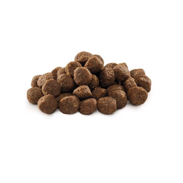 Корм сухий Brit Premium Dog Junior S для молодих собак дрібних порід від 1 до 12 місяців вагою 1-10 кг з куркою 8 кг 1111150946 фото