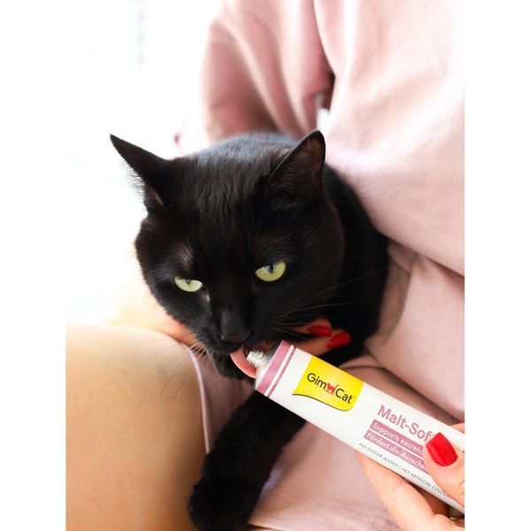 Паста GimCat Every Day Malt-Soft Paste Extra для котів для виведення шерсті зі шлунку 50 г 1111123383 фото