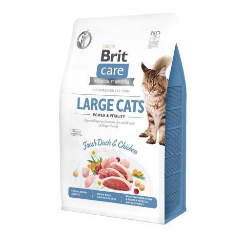 Корм сухий Brit Care Cat Grain Free Large Power Vitality для дорослих котів великих порід з качкою та куркою 400 г 1111162374 фото