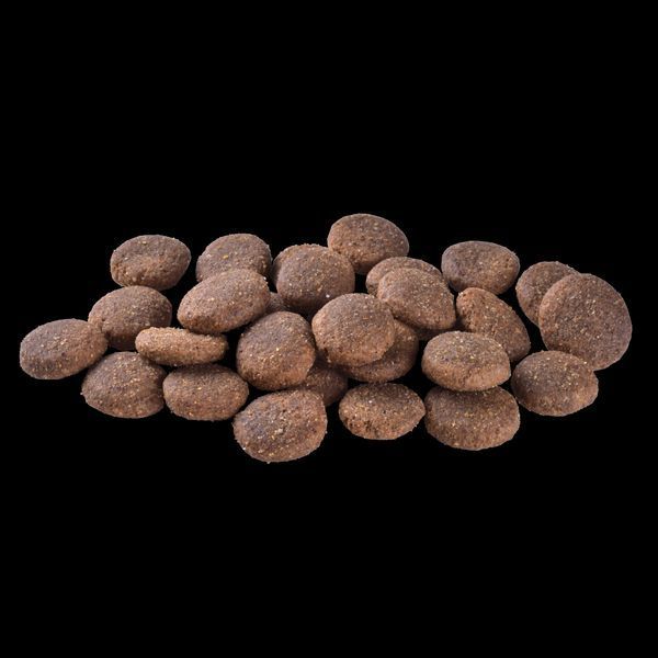 Корм сухий Brit Care Dog Grain-free Adult Large Breed для дорослих собак великих порід беззерновий з лососем 12 кг 1111173384 фото