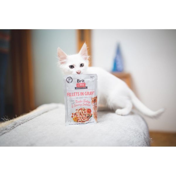 Корм вологий Brit Care Fillets in Gravy Tender Turkey and Savory Salmon д/котів філе в соусі з індичкою та лососем 85 г 1111162661 фото