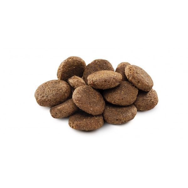Корм сухий Brit Premium Dog Senior L+XL для собак похилого віку великих та гігантських порід вагою 25-90 кг з куркою 3 кг 1111150966 фото