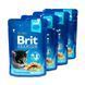Набір паучів 3+1 Brit Premium Kitten Chicken Chunks для кошенят шматочки в соусі з куркою 4х100 г 1111176659 фото 3