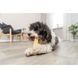 Ласощі Trixie Chewing cheese для собак, S: 13.5 см, 45 г 1111190388 фото 2