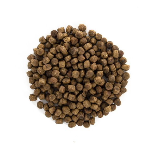 Корм сухий Brit Care Cat Grain Free Kitten Healthy Growth and Development для кошенят для здорового зростання та розвитку 7 1111162348 фото