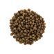 Корм сухий Brit Care Cat Grain Free Kitten Healthy Growth and Development для кошенят для здорового зростання та розвитку 2 1111162349 фото 2